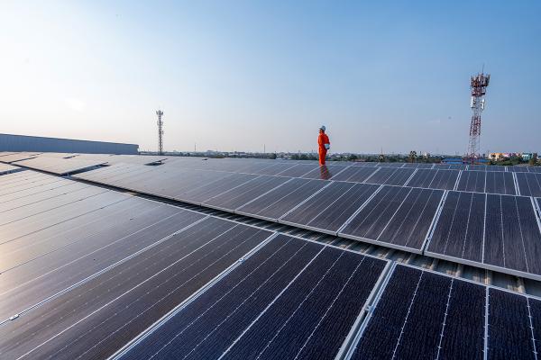 Worker standing beside solar panels