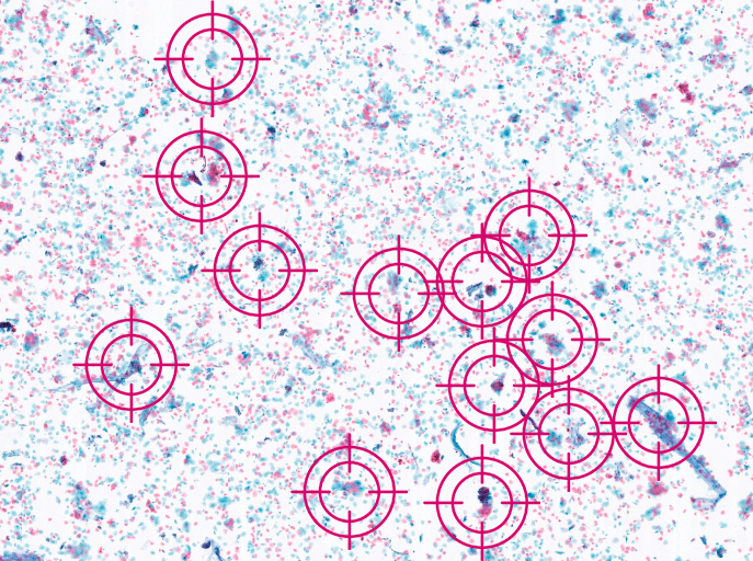 Volumetric image of cytology cells