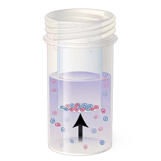 Cell collection in a vial